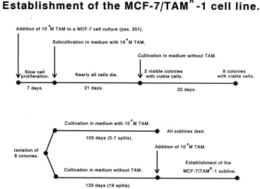 Establishment of MCF-7/TAMR-1 Cell line