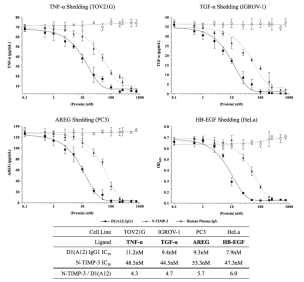 Cancer cells with known expression of TACE substrates (TOV21G: TNF-α, IGROV1: TGF-α, PC3: AREG) and HeLa cells stably over expressing HB-EGF-Alkaline Phosphatase were used to assay cell-surface TACE activity. Each cell line was stimulated with PMA following a 1 h pretreatment with various concentrations of either D1(A12) human IgG1, N-TIMP-3, or control human plasma IgG. Soluble TACE products were quantified from conditioned medium by sandwich ELISA or alkaline phosphatase activity. D1(A12) IgG1 consistently inhibited cell-surface TACE activity around fivefold more potently than N-TIMP-3.