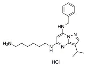 Image for CDK7 inhibitor BS-181 Small Molecule (Tool Compound)