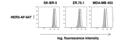 Adapted from Vollmann-Zwerenz et al. 2010. Cytometry A. 77(4):387-98. PMID: 20151455. Figure.Comparison of HER3 expression levels of breast carcinoma cell lines in multicolor flow cytometry and western blots. 