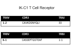 Image for Immorta-MAIT T cell clone IK-C1 cell line