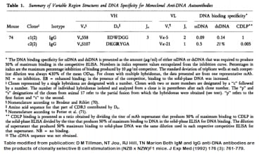 Image for Anti-DNA [m74-c1] monoclonal antibody