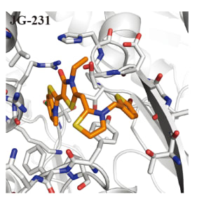 Figure modified from publication: Shao H, Li X, Moses MA, et al. Exploration of Benzothiazole Rhodacyanines as Allosteric Inhibitors of Protein-Protein Interactions with Heat Shock Protein 70 (Hsp70). J Med Chem. 2018;61(14):6163–6177.