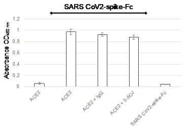 Functional Enzyme-Linked Immunosorbent Assay (ELISA)
2 µg/ml recombinant ACE2 protein was coated with 100 µl diluted in PBS onto wells of a 96 well ELISA plate and incubated for 1 h at RT. After blocking with 350 µl/well 1% BSA/PBS, the recombinant SARS CoV2-spike-huFc was added (100 µl/well, 3 µg/ml diluted in 1% BSA/PBS) either alone or pre-incubated for 1 h at RT with 10 µg/ml mAb 3-5C-I and isotype matched control mAb and incubated for 2 h at RT. ACE2 coating alone and with SARS CoV2-spike-huFc incubation served as negative and positive control, subsequently. SARS CoV2-spike-huFc alone served as further negative control. After washing, HRP-coupled goat anti human Fc binding pAb (Jackson Laboratories) was incubated for 30 min at RT, subsequently washed, visualized by TMB substrate and measure by a Tecan Sunrise ELISA plate reader
