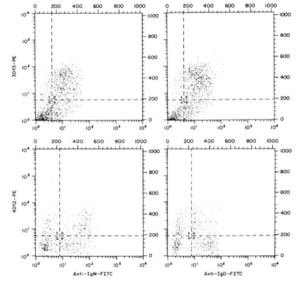 Smith-Ravin et al. 1990. Clin Exp Immunol. 82(1):181-7. PMID: 2208792. Figure. Double staining pattern of UCL3D3 and UCL4D12 with sIgM and sIgD on spleen cells. FACS analysis of UCL3D3 (top) and UCL4D12 (bottom) against anti-IgM (left), and anti-IgD (right)