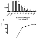 Adapted from Malgorzata-Miller et al Sci. Rep. 6, 34221; doi: 10.1038/srep34221 (2016).

Human PBMCs were isolated from healthy subjects, using a standard protocol. PBMCs were pre-incubated with a dose-range of B. quintana LPS (10–1000 ng/ml) for 2 h. Thereafter, 10 ng/ml E. coli LPS was added and the PBMCs were cultured for another 24 h. IL-6 was determined by using ELISA (A). (B) Percentage inhibition was calculated using the IL-6 concentration of E. coli LPS exposure as 100%. PBMCs of 6 subjects were used in this experiment. IC50 was 37.04 ng/ml. *P < 0.001, two-sided Mann-Whitney U test.