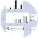 Characterization of the epitope specificity of mAb509. (A) Sandwich ELISA: LDL or OxLDL were captured by plate-immobilized anti-apoB antibody and detected by either 509, E06 or isotype control (MOPC) antibody. (B & C) Pure phospholipids were used as competitors for binding of anti-OxPL mABs to OxLDL. The novel mAB 509 specifically recognizes phosphoethanolamine-containing OxPLs. Adapted from Bochkov V, Schoenenberger AW, Oskolkova O, Toth U, Stöckl J, Majdic O, Daci A, Resink TJ, Erne P, Philippova M. Novel immune assay for quantification of plasma protective capacity against oxidized phospholipids. Biomark Med. 2016 Aug;10(8):797-810. doi: 10.2217/bmm-2016-0096. Epub 2016 Jul 14. PMID: 27416002.