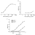 BUSA14 cells are efficiently activated by mouse and human gp10025–33 peptides.

DC2.4 cells were loaded with hgp10025–33 at doses ranging from 0.5 to 10000 ng/ml (A) or mgp10025–33 (10 to 50000 ng/ml)(B). Then co-cultured with BUSA14 for 12 hours. Cells were then lysed and β-Gal enzymatic activity was detected with CPRG. Representative results (1 of 3 experiments) are presented as ΔOD (sample OD-background OD) measured after 3 hours. C. Sixty thousand BUSA14 cells/well were incubated in triplicate overnight with serial dilutions of DC2.4 cells loaded with 50 µg/ml hgp10025–33 or mgp10025–33. SIINFEKL loaded DC2.4 cells were used as negative control. Assays were done as before and presented as ΔOD measured after 24 hours