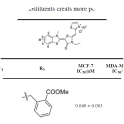 Figure modified from publication: Shao H, Li X, Moses MA, et al. Exploration of Benzothiazole Rhodacyanines as Allosteric Inhibitors of Protein-Protein Interactions with Heat Shock Protein 70 (Hsp70). J Med Chem. 2018;61(14):6163–6177.