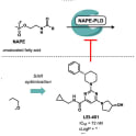 Here is described the structure–activity relationship (SAR) of a library of pyrimidine-4-carboxamides as inhibitors of NAPE-PLD that led to the identification of LEI-401. A high-throughput screening hit was modified at three different substituents to optimize its potency and lipophilicity. Conformational restriction of an N-methylphenethylamine group by replacement with an (S)-3-phenylpiperidine increased the inhibitory potency 3-fold. Exchange of a morpholine substituent for an (S)-3-hydroxypyrrolidine reduced the lipophilicity and further increased activity by 10-fold, affording LEI-401 as a nanomolar potent inhibitor with drug-like properties. LEI-401 is a suitable pharmacological tool compound to investigate NAPE-PLD function in vitro and in vivo. Adapted from the abstract of Mock ED, Kotsogianni I, Driever WPF, Fonseca CS, Vooijs JM, den Dulk H, van Boeckel CAA, van der Stelt M. Structure-Activity Relationship Studies of Pyrimidine-4-Carboxamides as Inhibitors of N-Acylphosphatidylethanolamine Phospholipase D. J Med Chem. 2021 Jan 14;64(1):481-515. doi: 10.1021/acs.jmedchem.0c01441. Epub 2020 Dec 31. PMID: 33382264; PMCID: PMC7816197.