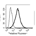 Flow cytometry histogram: 
CHO-CEACAM1 cells were stained with purified his tagged human rec. HopQ (5 µg/ml) followed by mAb 2B6 (thick line) or isotype control mAb (thin line), followed by goat anti mouse-FITC. After washing samples were analyzed by flow cytometer. Dead cells were discriminated by staining with propidium iodide (PI) and excluded from the analysis.