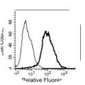 Flow cytometry histogram: 
CHO-CEACAM1 cells were stained with purified human rec. antibody anti CEACAM1 followed by mAb 42-1 (thick line) or isotype control mAb (thin line), followed by Streptavidin-FITC. After washing samples were analyzed by flow cytometer. Dead cells were discriminated by staining with propidium iodide (PI) and excluded from the analysis.
