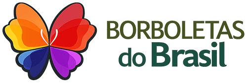 Borboletasdobrasil