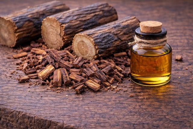 ガイアックウッド