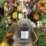 『Guerlain（ゲラン）』の最新作は草原に咲く花の朝露の香り。「Flora Salvaggia（フローラ・サルヴァジア）」