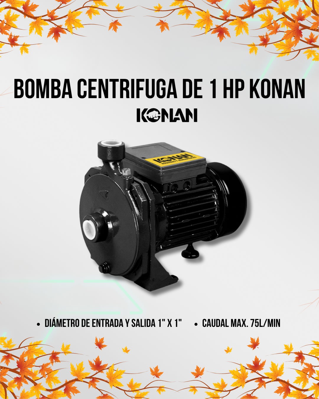 Bomba Centrífuga de 1 Hp KONAN-KBC1 (N°6168