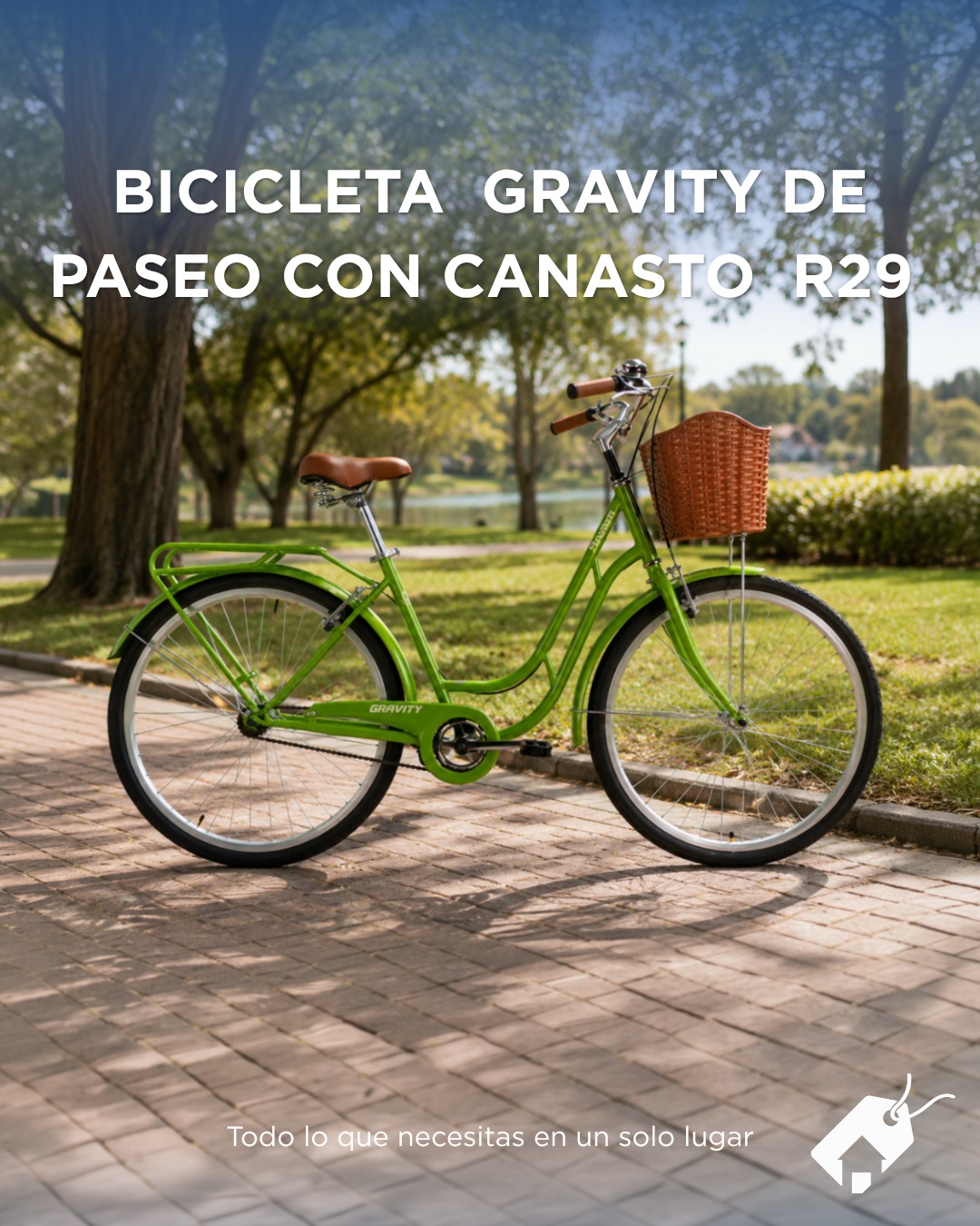 Bicicleta MTB Gravity Madam de Paseo con Canasto Mujer Rodado 29 Verde