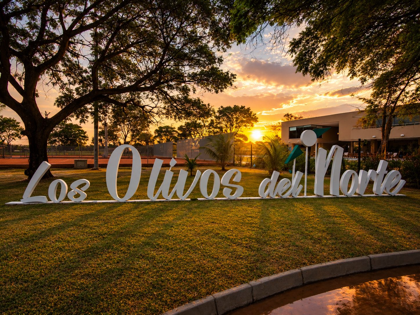 Los Olivos del Norte al atardecer