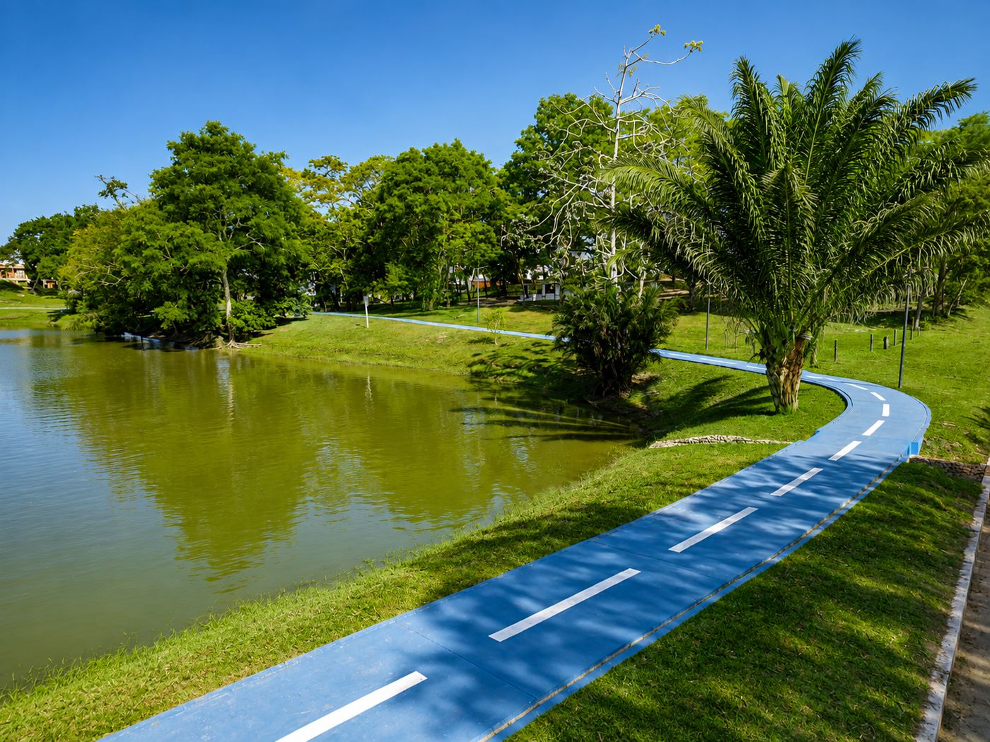 Circuito de trote junto a la laguna