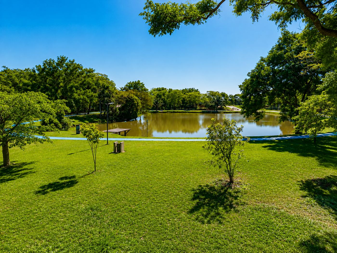 Laguna con vegetación y palmeras