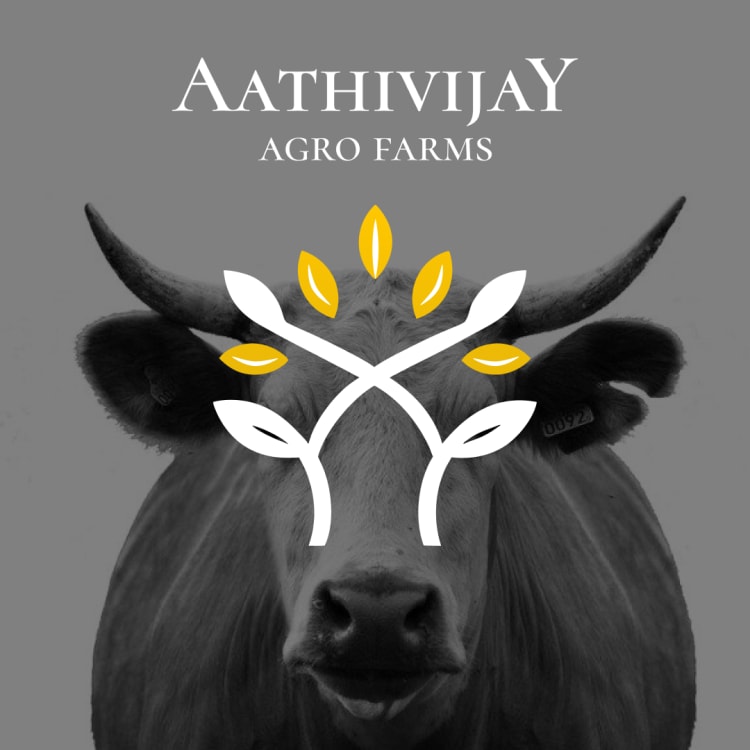 Logo design for a livestock and agro farm, 1 of 1
