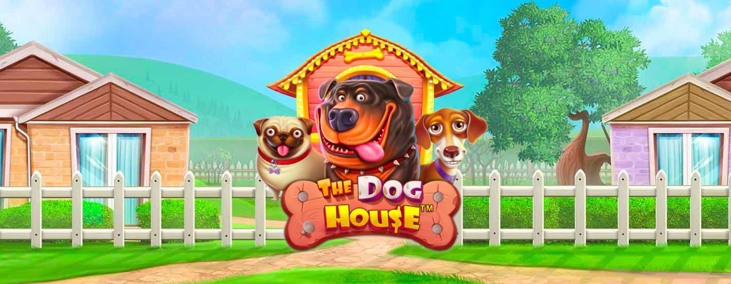 The dog house