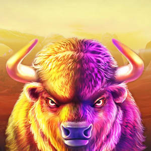 Buffalo king