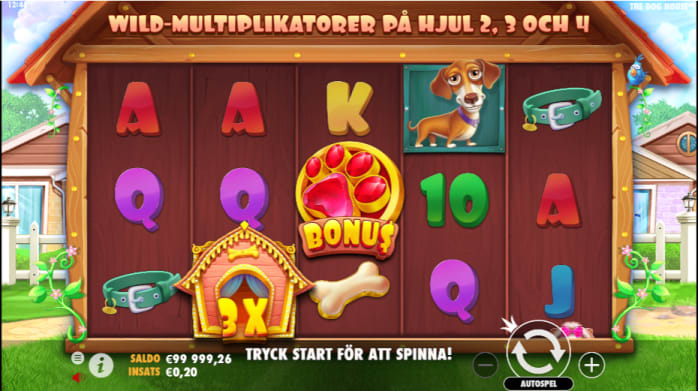 DogHouse-Spel-1