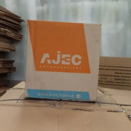 Ajec chicas cs