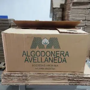 Algodonera Avellaneda