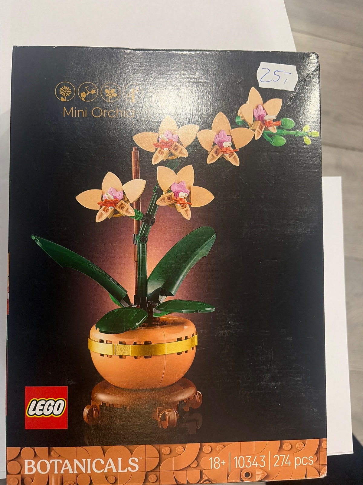 Mini orchid
