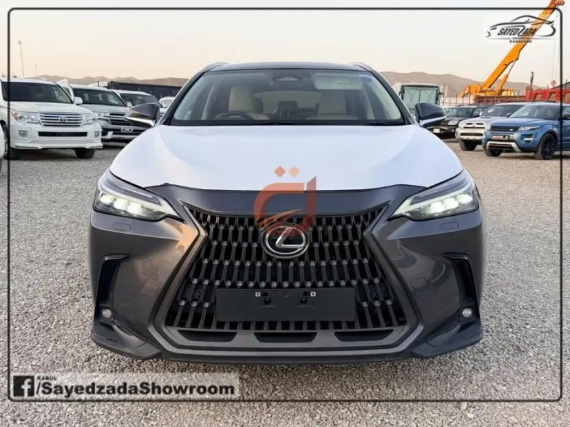 Lexus NX 2024