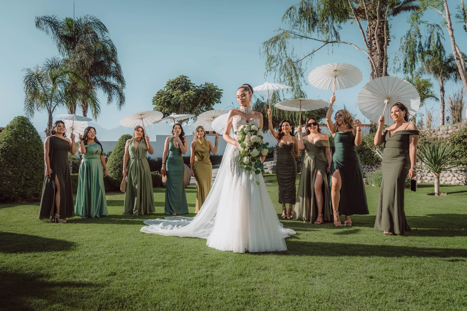 Boda KlipStudio 6