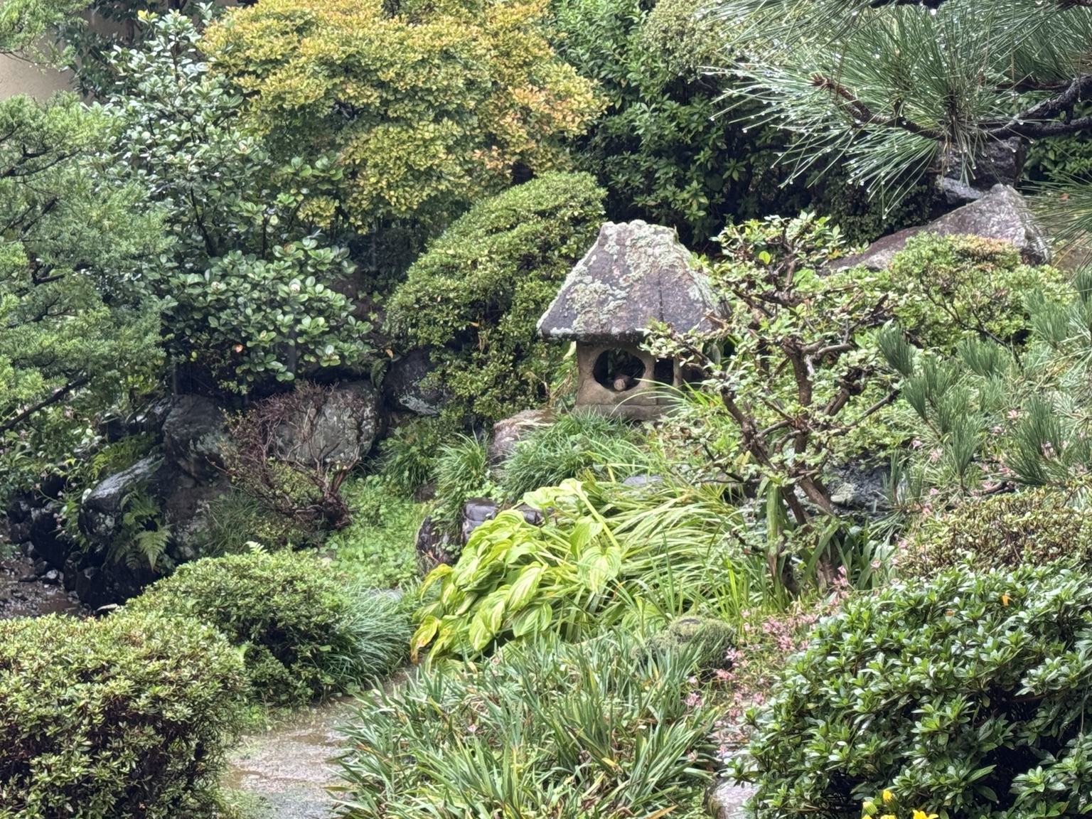 A garden full of small details.