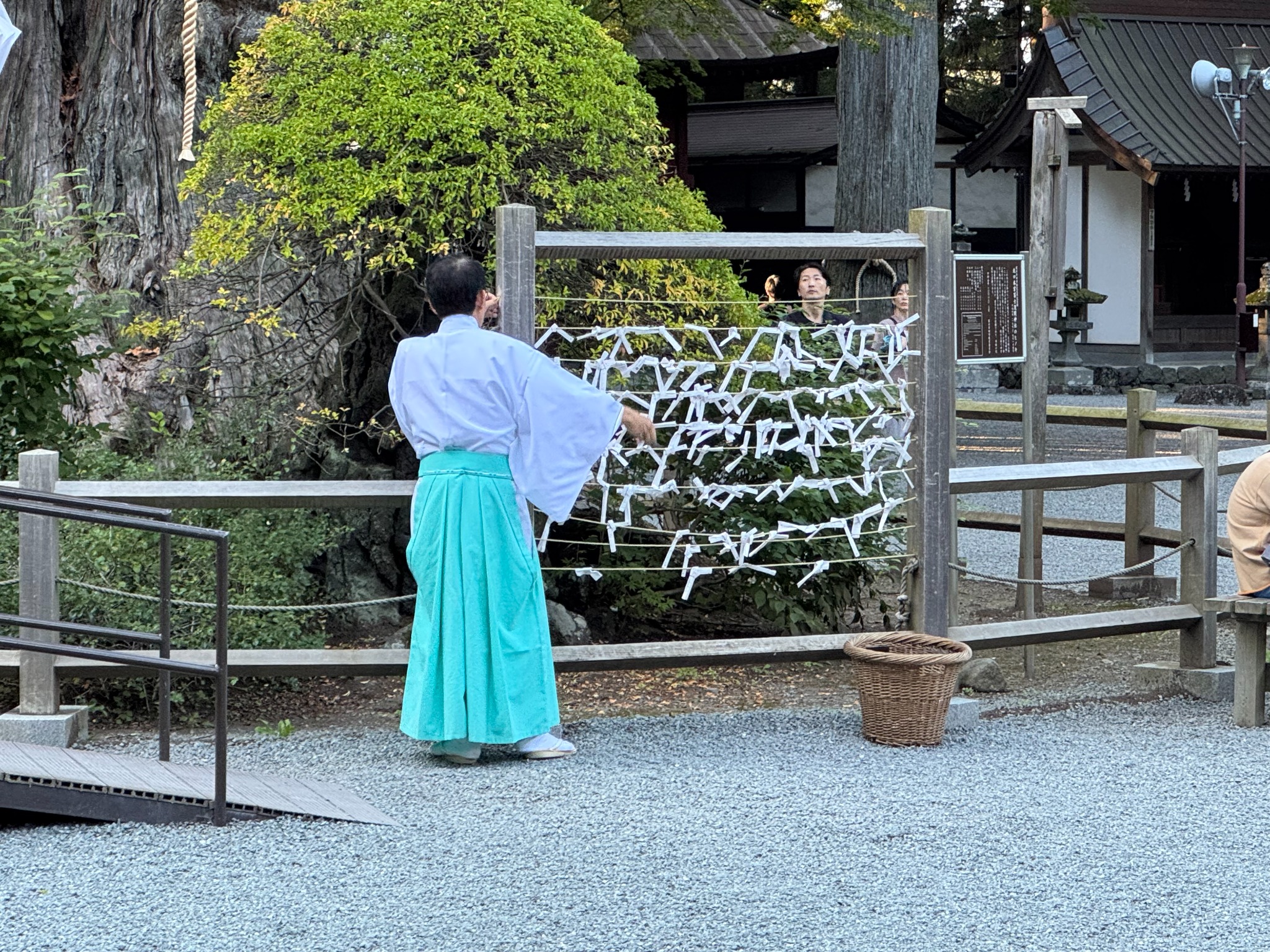 Visitor by tied paper fortunes at the shrine.