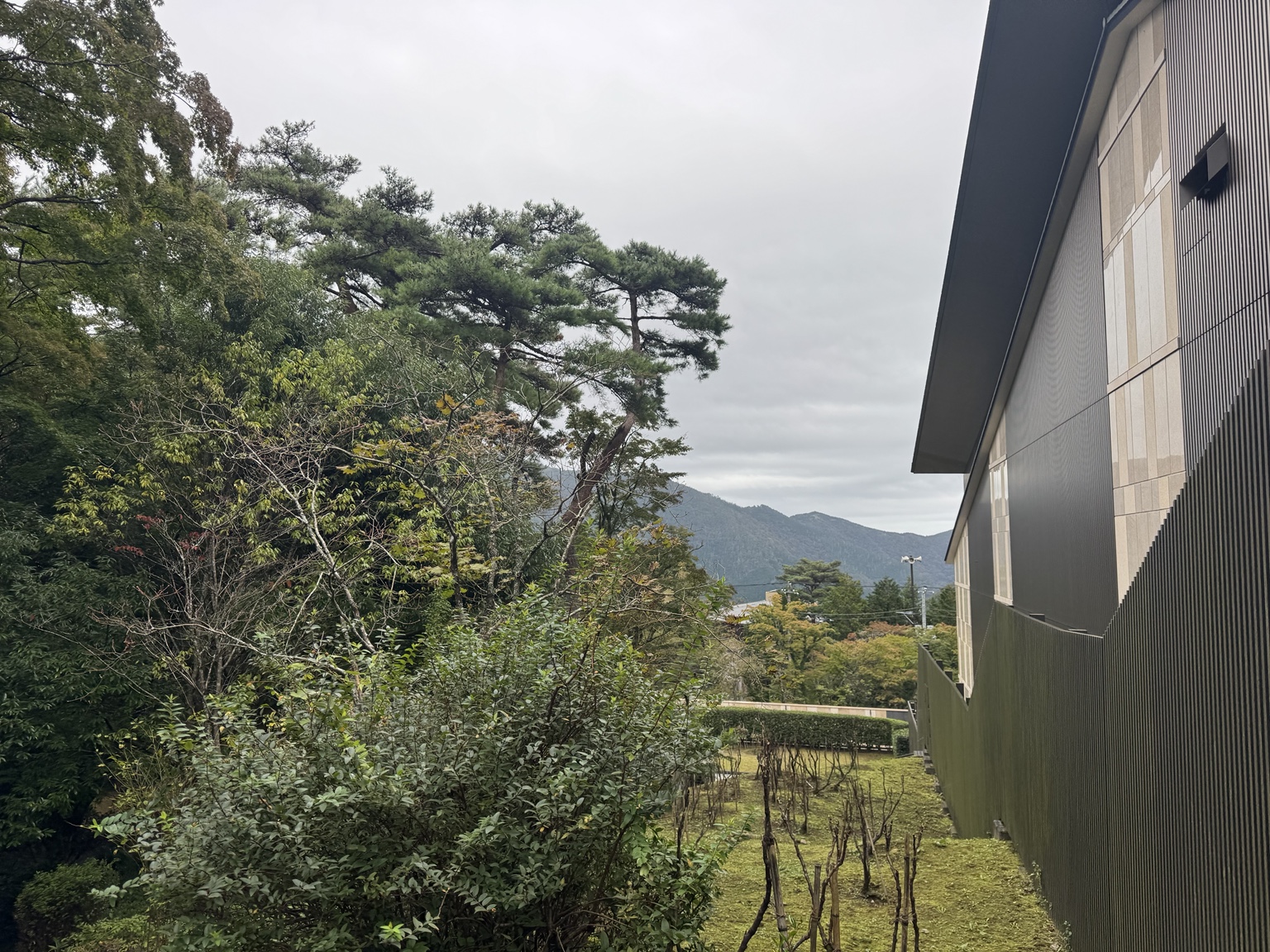 The museum, trees and green slopes of Hakone.