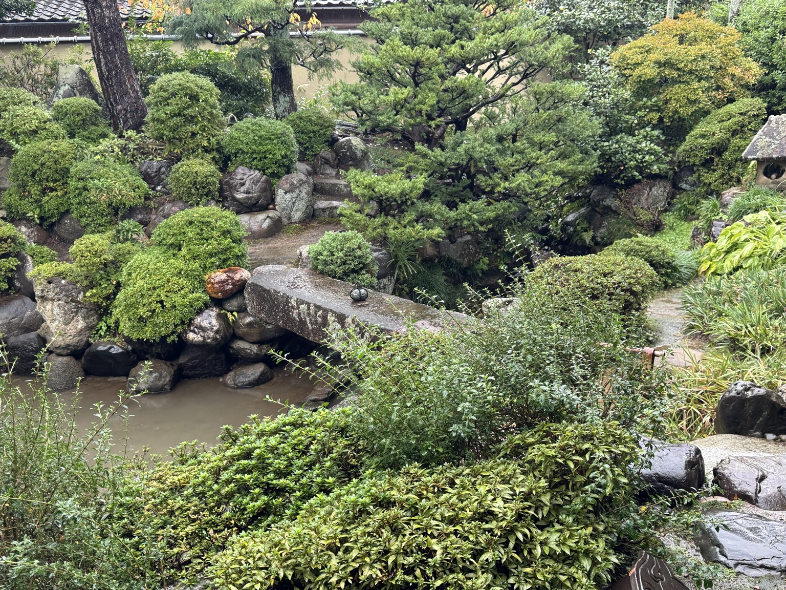 Greenery, stones and water in the garden.