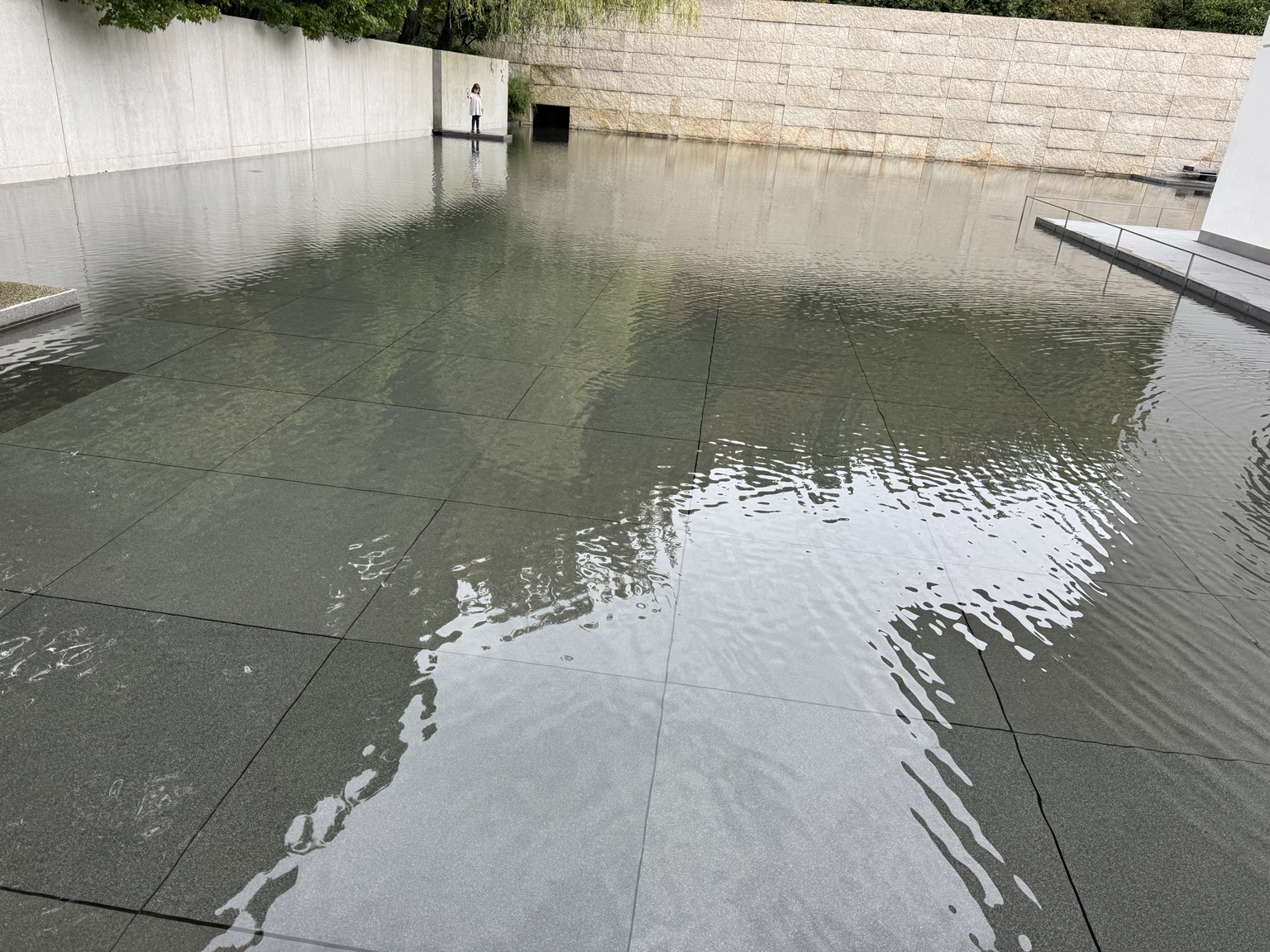 Small circles on the surface of the water.