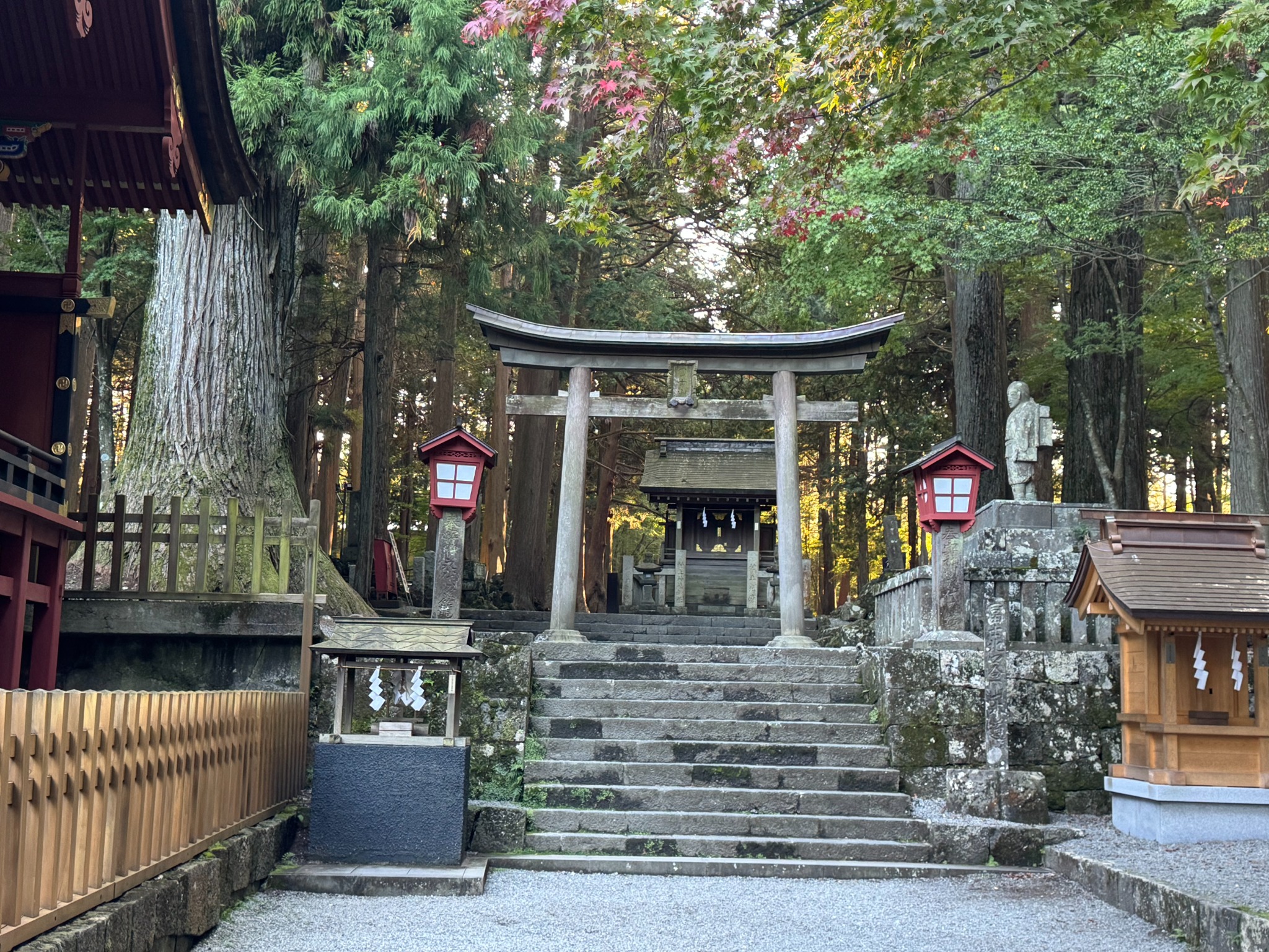 Stone steps leading to a shrine in the forest.
