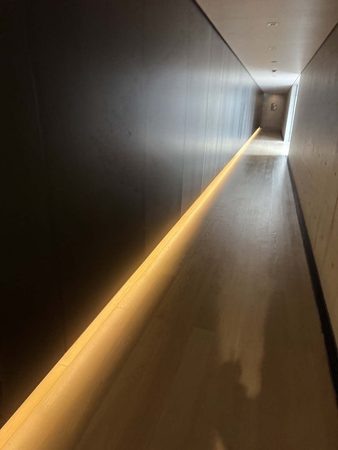 Light and clean lines at the D. T. Suzuki Museum.