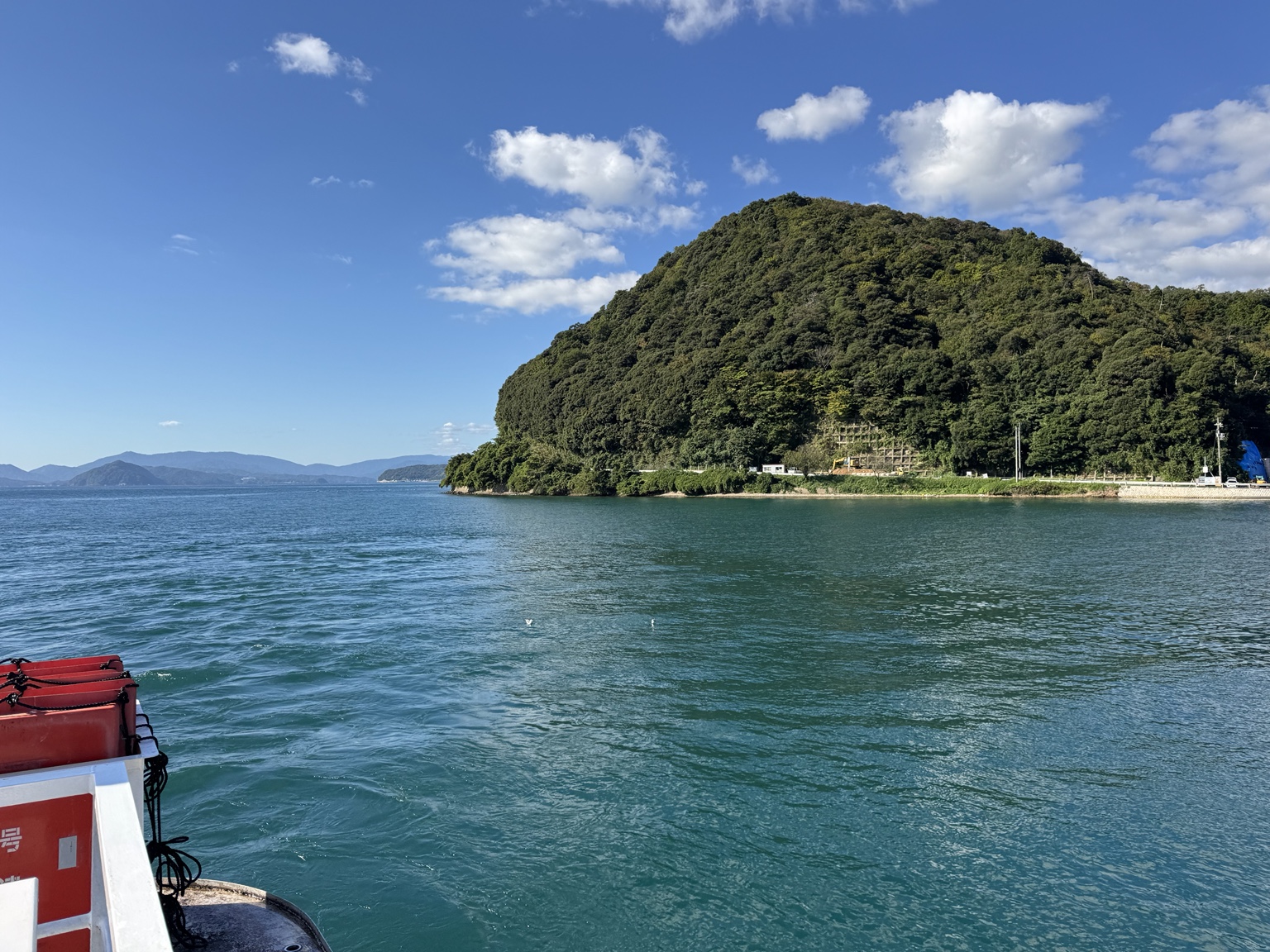 A wooded stretch of coast seen from the water
