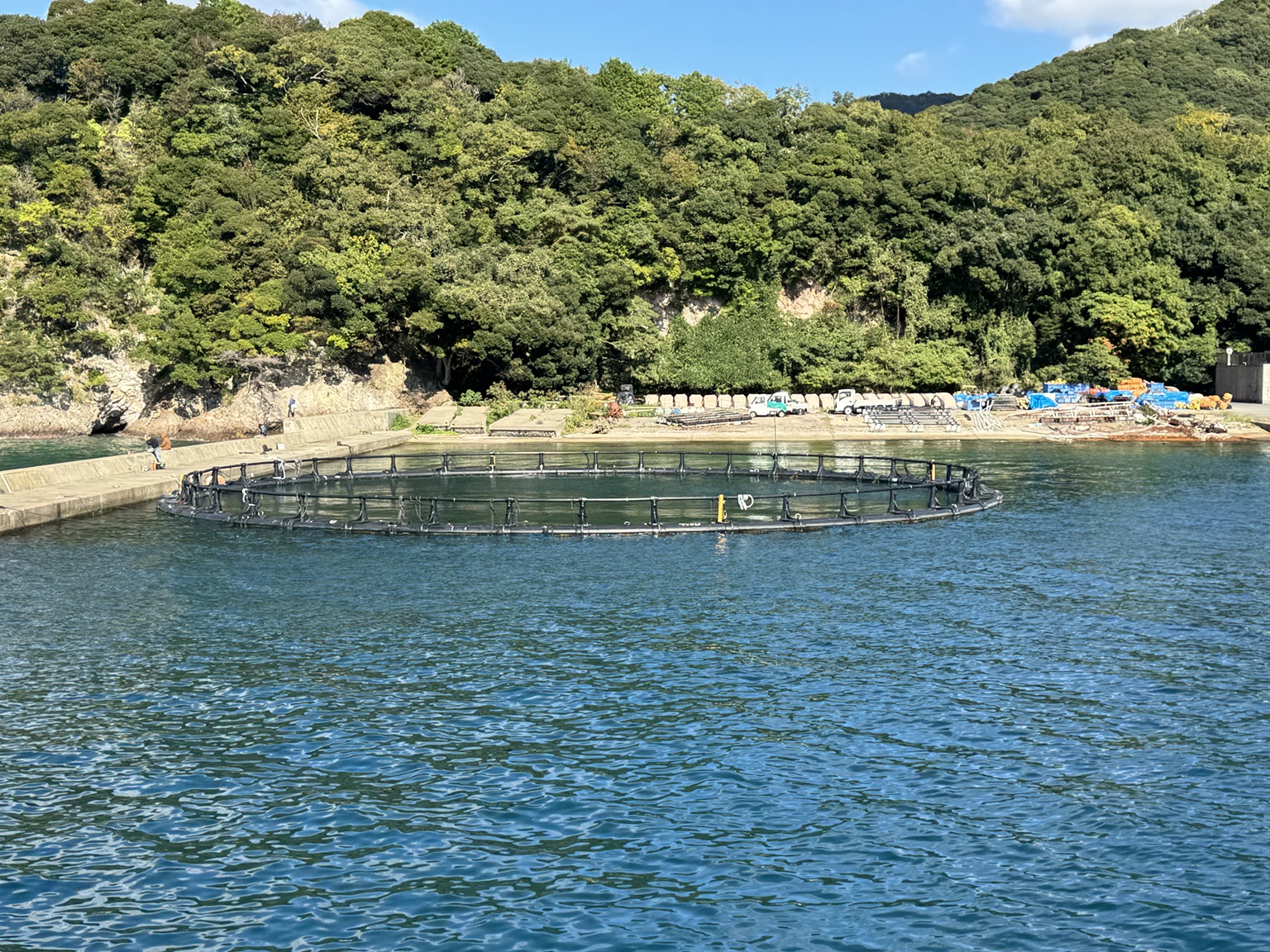 A circular floating net enclosure near the shore