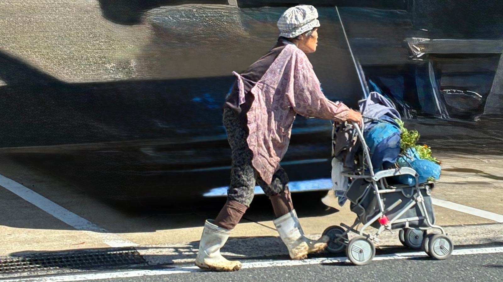 A woman on her way with a loaded cart