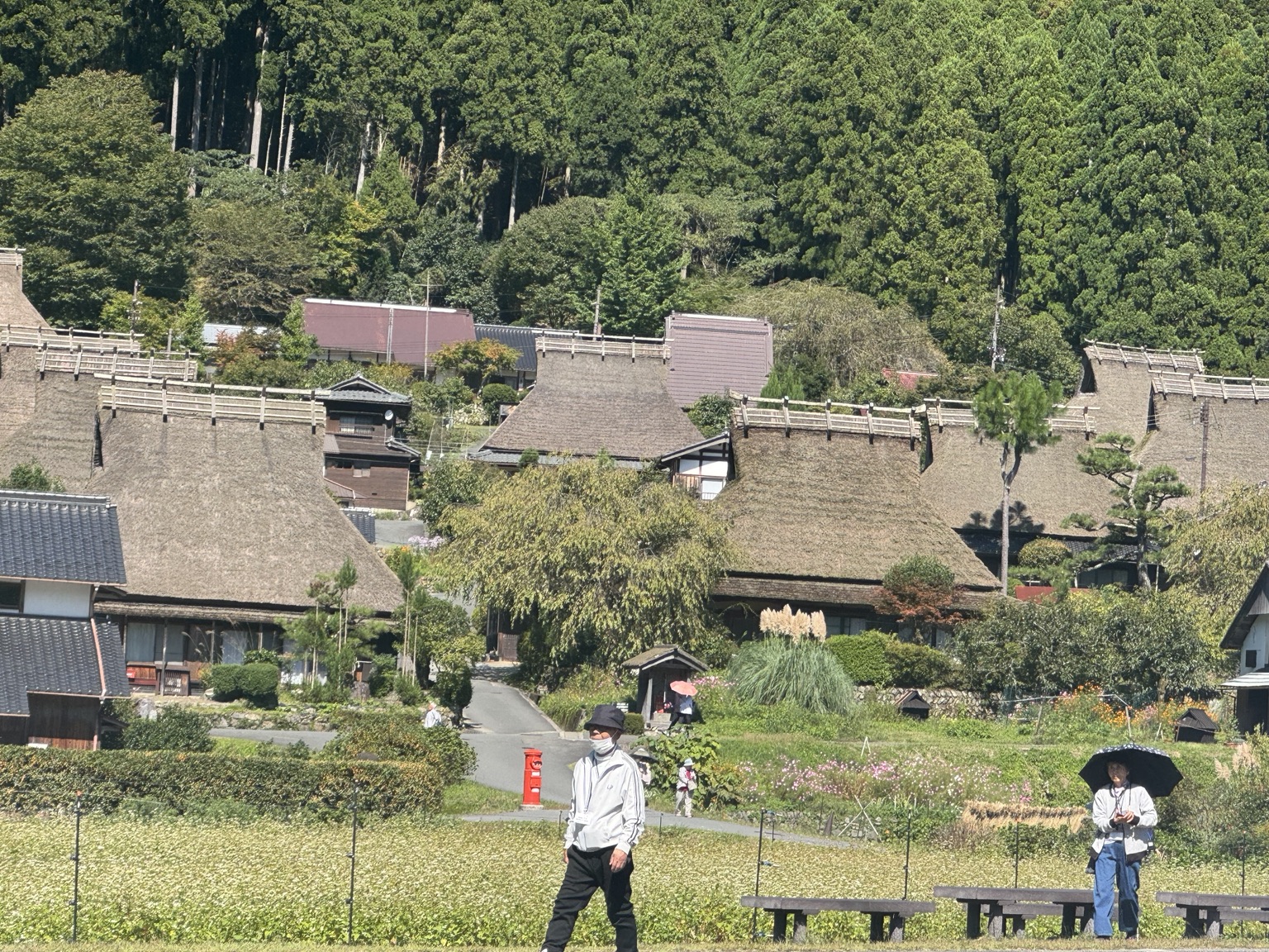 Thatched houses beneath wooded hills in Miyama