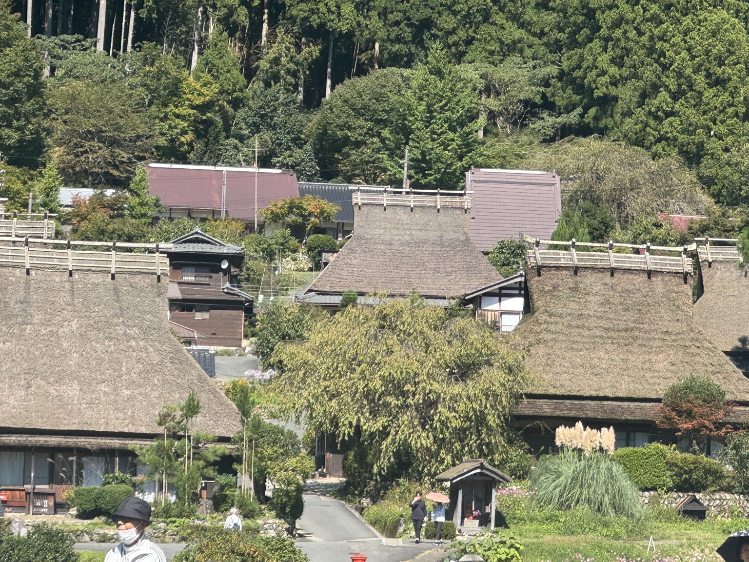 The large thatched roofs seen up close