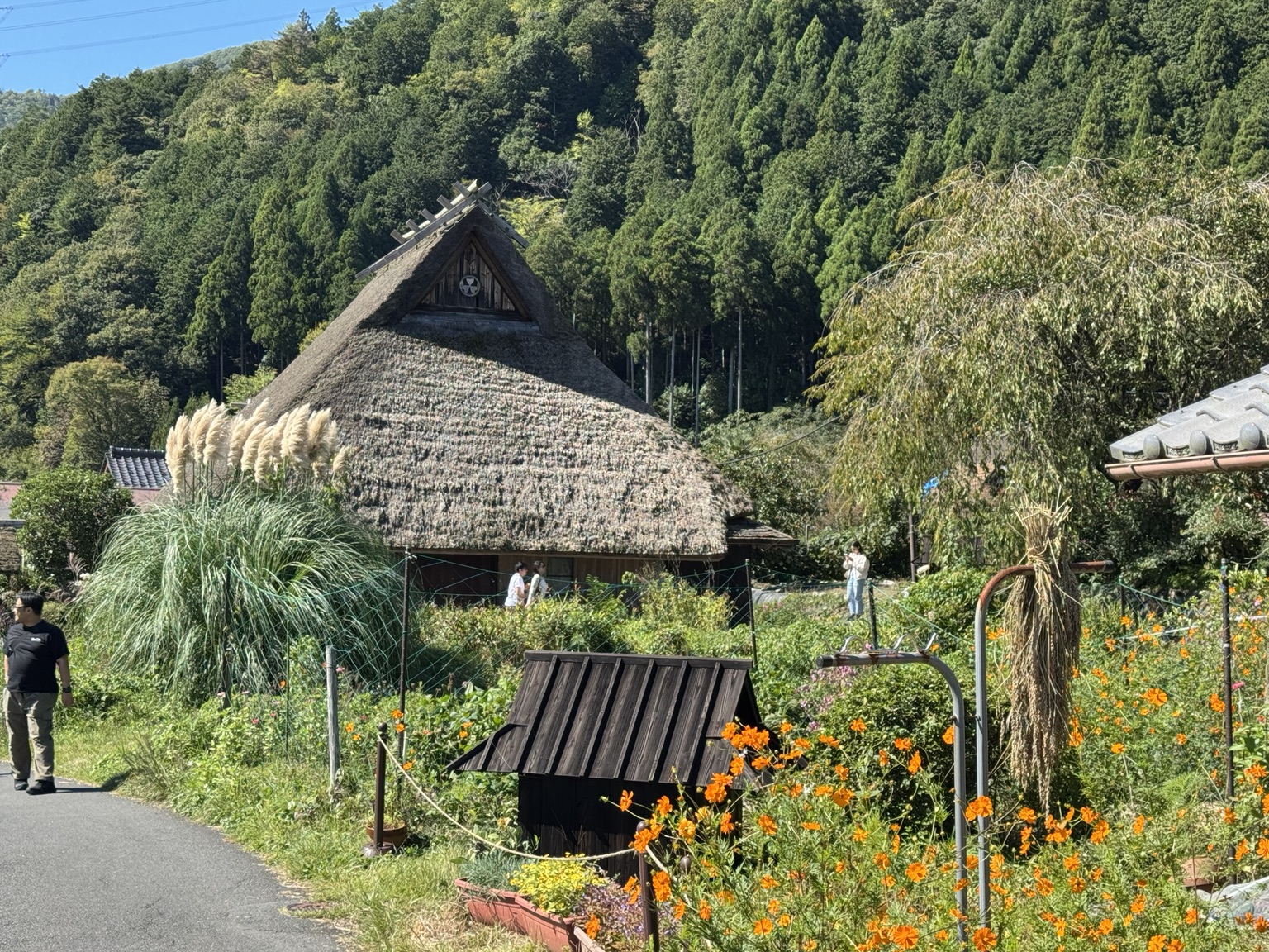 A house framed by grasses and orange flowers