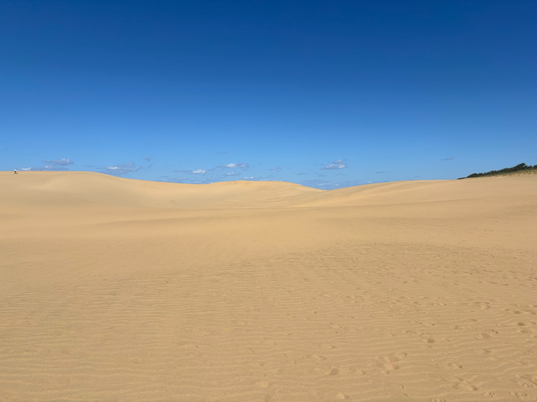 Open sand dunes beneath a blue sky