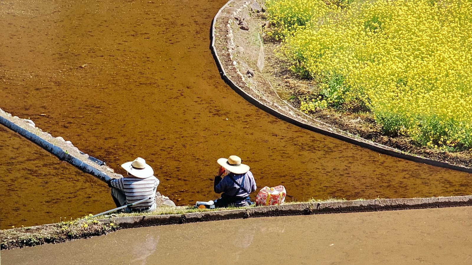 Eine gemeinsame Pause am Wasser, neben gelben Blüten.