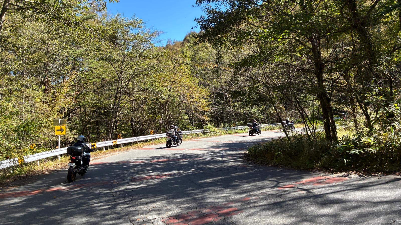 Motorräder in einer bewaldeten Kehre.