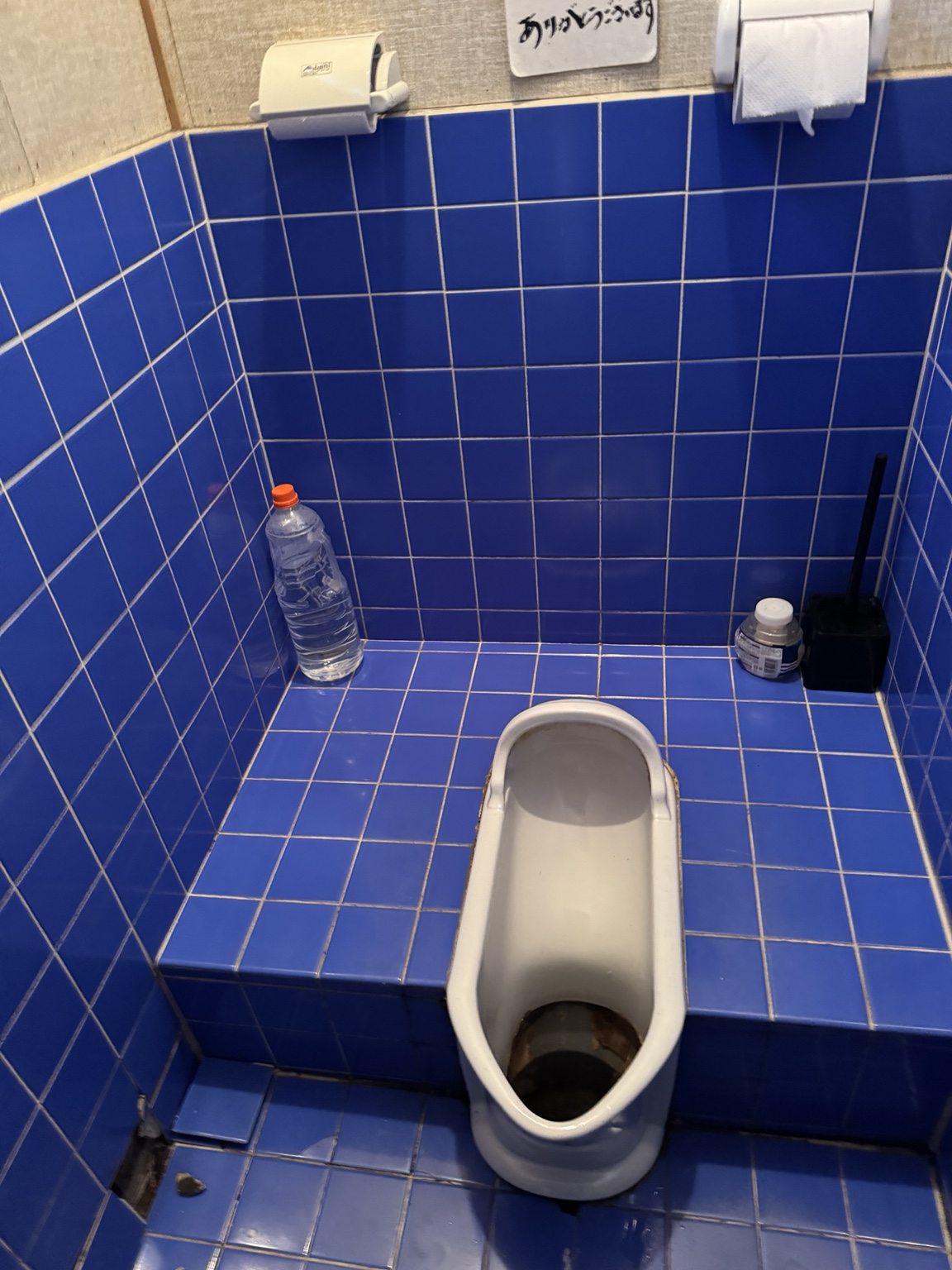Die Hocktoilette hinter den Warnschildern.